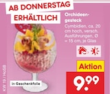 Orchideengesteck Angebote bei Netto Marken-Discount Gera für 9,99 €