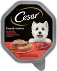 Hundenahrung Angebote von Cesar bei REWE Gelsenkirchen für 0,75 €
