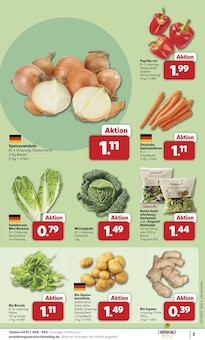 Paprika im combi Prospekt "Markt - Angebote" mit 29 Seiten (Paderborn)