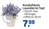 Kunstpflanze Lavendel im Topf im aktuellen Prospekt bei Rossmann in Hasbergen