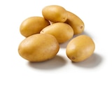 Lidl Roubaix - Promo Pomme de terre nouvelle récolte Promo Pomme de terre nouvelle récolte à 1,90 € dans le catalogue Lidl à Roubaix