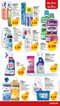 Lenor Lenor