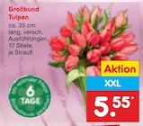 Aktuelles Großbund Tulpen Angebot bei Netto Marken-Discount in Leipzig ab 5,55 €