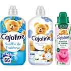 SUR TOUT - CAJOLINE dans le catalogue Carrefour