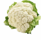 Blumenkohl im Angebot bei Netto Marken-Discount in Dresden Blumenkohl Angebote bei Netto Marken-Discount Dresden für 1,11 €
