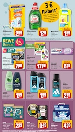 Aktueller REWE Prospekt mit Dusche, "Dein Markt", Seite 23