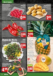 Aktueller EDEKA Prospekt mit Blumen, "Aktuelle Angebote", Seite 2