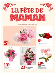 Offre Plantes dans le catalogue Auchan Hypermarché du moment à la page 34