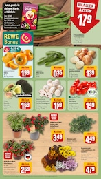 REWE Blumen im Prospekt REWE Blumen im Prospekt