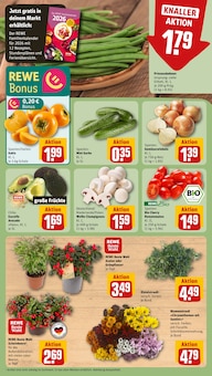 Nahrungsergänzungsmittel Angebot im aktuellen REWE Prospekt auf Seite 9
