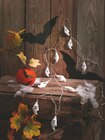 LED-Halloween-Lichterkette Angebote von Livarno Home bei Lidl Regensburg für 1,99 €