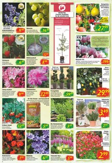 Aktueller Gartencenter Prospekt "Heute eröffnen wir die Beet- und Balkonsaison!" Seite 2 von 8 Seiten für Zwönitz