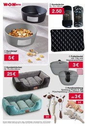 Hundespielzeug Angebot im aktuellen Woolworth Prospekt auf Seite 39