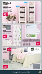 Korb im Netto mit dem Scottie Prospekt Günstig. Besser. Für Dich. auf S. 27