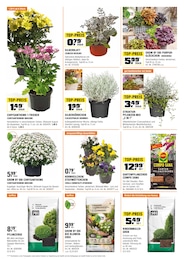 Blumenerde Angebot im aktuellen OBI Prospekt auf Seite 2