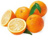 Orangen im aktuellen Prospekt bei REWE in Dörrebach