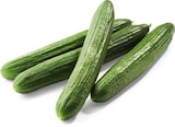 Aktuelles Gurken Angebot bei Netto Marken-Discount in Würzburg ab 0,55 €
