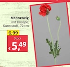 Bauzentrum Reinholdshain Dippoldiswalde - Mohnzweig Angebot im Prospekt Mohnzweig bei Bauzentrum Reinholdshain im Dippoldiswalde Prospekt für 5,49 €