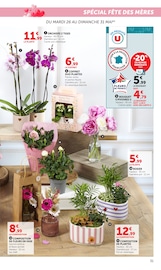 Promos Orchidée dans le catalogue "Super U" de Super U Orchidée en promo dans le catalogue Super U à la page 31