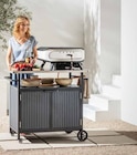 Grillwagen 'Alvor' im Angebot bei Dehner Garten-Center in Frankenthal Grillwagen 'Alvor' Angebote bei Dehner Garten-Center Frankenthal für 279,99 €