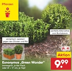 Angebot im Netto Marken-Discount Gammertingen Prospekt Netto Marken-Discount Gammertingen Prospekt mit im Angebot für 9,99 €