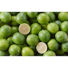 Citron vert dans le catalogue Carrefour