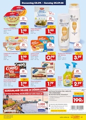 Vollkornbrot im Netto Marken-Discount Prospekt in Moers Aktueller Netto Marken-Discount Prospekt mit Vollkornbrot, "Aktuelle Angebote", Seite 53