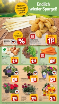 Blumen im REWE Prospekt "Dein Markt" mit 32 Seiten (Jena)