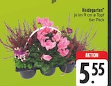 Heidegarten bei EDEKA im Nossen Prospekt für 5,55 €