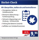 Herbst-Check Angebote bei AUTOPLUS Stendal für 9,95 €