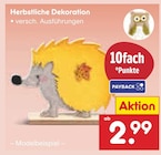 Herbstliche Dekoration im Angebot bei Netto Marken-Discount in Neubrandenburg Herbstliche Dekoration Angebote bei Netto Marken-Discount Neubrandenburg für 2,99 €