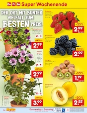 Aktueller Netto Marken-Discount Prospekt mit Erdbeeren, "Aktuelle Angebote", Seite 44