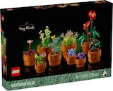 Les plantes miniatures - LEGO en promo chez Carrefour Ajaccio à 32,90 €