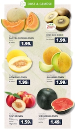 Kiwi im REWE Prospekt in Köln Aktueller REWE Prospekt mit Kiwi, "Dein Markt", Seite 10