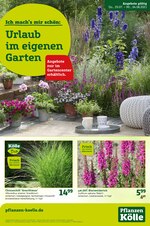 Pflanzen Kölle Prospekt für Oberkrämer mit 2 Seiten Pflanzen Kölle Prospekt für Oberkrämer: "Ich mach's mir schön: Urlaub im eigenen Garten", 2 Seiten, 29.07.2021 - 04.08.2021