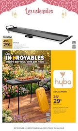 Barbecue en promo dans le catalogue Carrefour à la page 10