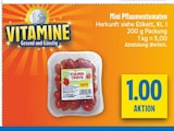 Aktuelles Mini Pflaumentomaten Angebot bei diska in Erfurt ab 1,00 €