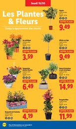 Prix et réduction Arbre Fruitier dans le prospectus Lidl en cours Offre Arbre Fruitier dans le catalogue Lidl du moment à la page 28