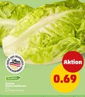 Aktuelles Romana Salatherzen Angebot bei Penny in Frankfurt (Main) ab 0,69 €