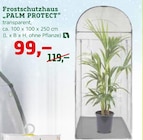 Frostschutzhaus "PALM PROTECT" im aktuellen Pflanzen Kölle Prospekt