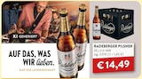 GetränkeLand Mayer - Pilsner Angebot im Prospekt Pilsner bei GetränkeLand Mayer im Prospekt "" für 14,49 €