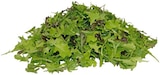 Bio Crispy Salatmix bei REWE im Günzburg Prospekt für 1,00 €