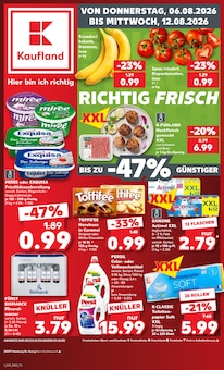Waschmittel im Kaufland Prospekt "Hier bin ich richtig" mit 64 Seiten (Hamburg)