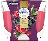 dm-drogerie markt Herzogenrath - Duftkerze im Glas Winter Berries 204 g Angebot im Prospekt Duftkerze im Glas Winter Berries 204 g bei dm-drogerie markt im Herzogenrath Prospekt für 5,95 €