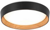 Aktuelle LED-Lampe Angebote bei mömax in Dresden Aktuelles LED-DECKENLEUCHTE „LIA“ Angebot bei mömax in Dresden ab 35,00 €