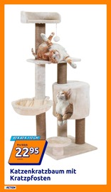 Ähnliche Angebote wie Aquarium im Prospekt "Wochenangebote" auf Seite 13 von Action in Kleve