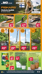 Korb Angebot & Preis im aktuellen Netto mit dem Scottie Prospekt Korb Angebot im aktuellen Netto mit dem Scottie Prospekt auf Seite 16
