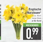 Englische Narzissen im EDEKA Prospekt Englische Narzissen im aktuellen EDEKA Prospekt für 0,99 €