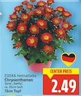 Chrysanthemen von EDEKA Heimatliebe im aktuellen E center Prospekt