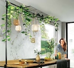 Tischdeko-Stange bei Ostermann im Prospekt "" für 39,90 €